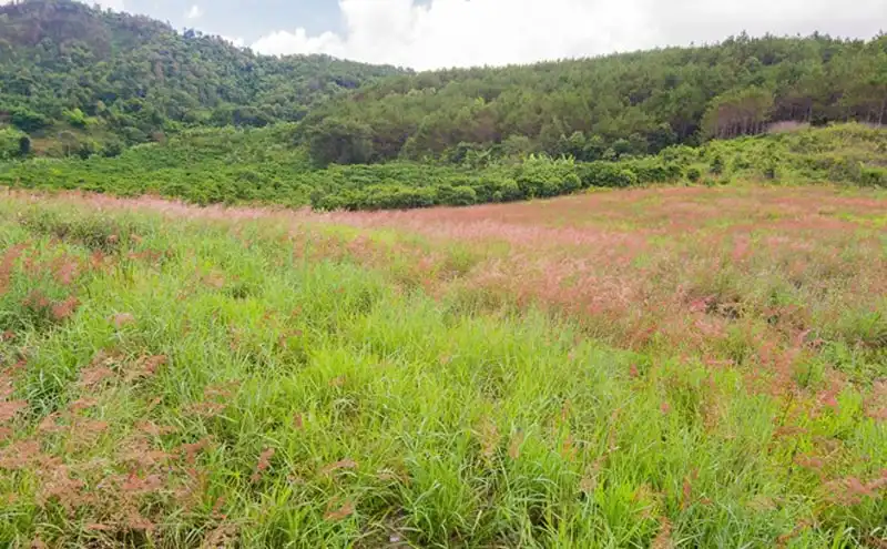 wanderlust-tips-hanh-xac-o-cung-trek-dep-nhat-viet-nam-16