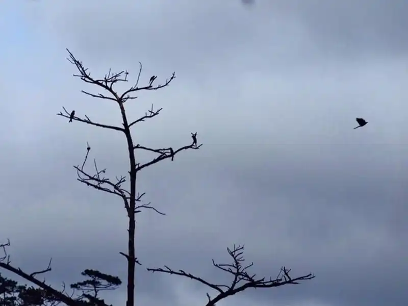 wanderlust-tips-hanh-xac-o-cung-trek-dep-nhat-viet-nam-17