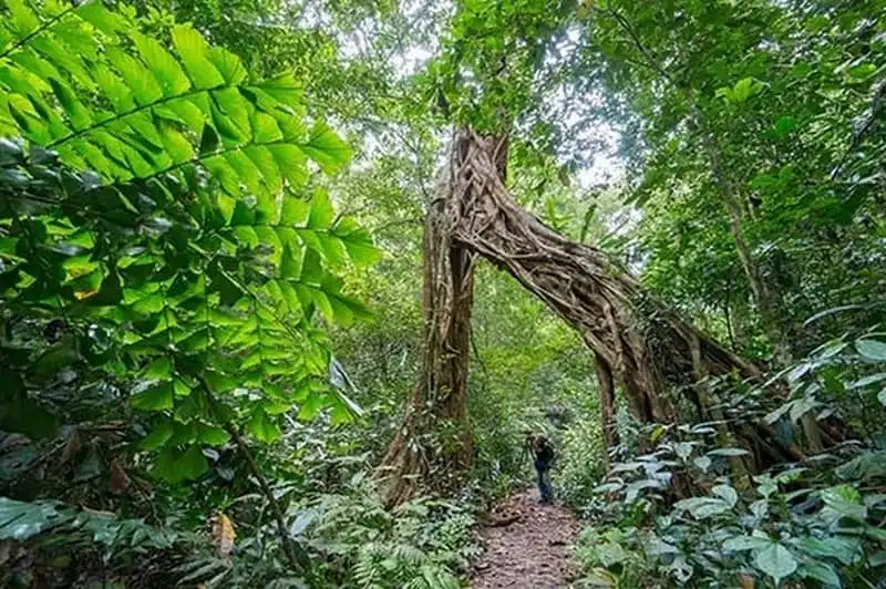 wanderlust-tips-kham-pha-5-vuon-quoc-gia-dep-nhat-viet-nam-5