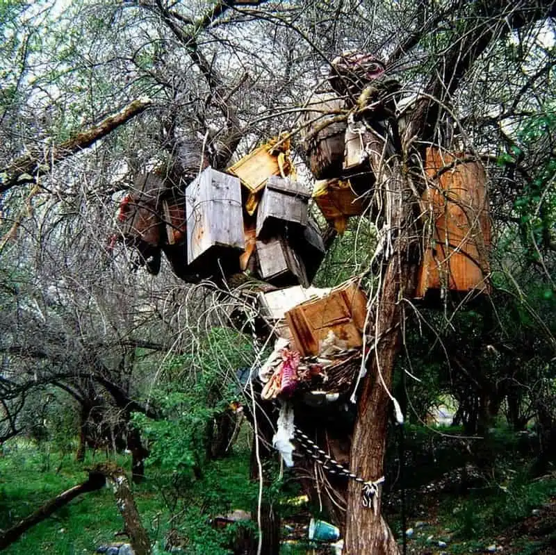 wanderlust-tips-kham-pha-nhung-tuc-le-mai-tang-ky-la-va-dang-so-nhat-the-gioi-1