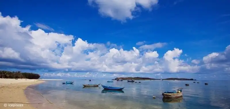 Kinh nghiệm du lịch đảo Phú Quý 6 wanderlust-tips-kinh-nghiem-du-lich-dao-phu-quy-2