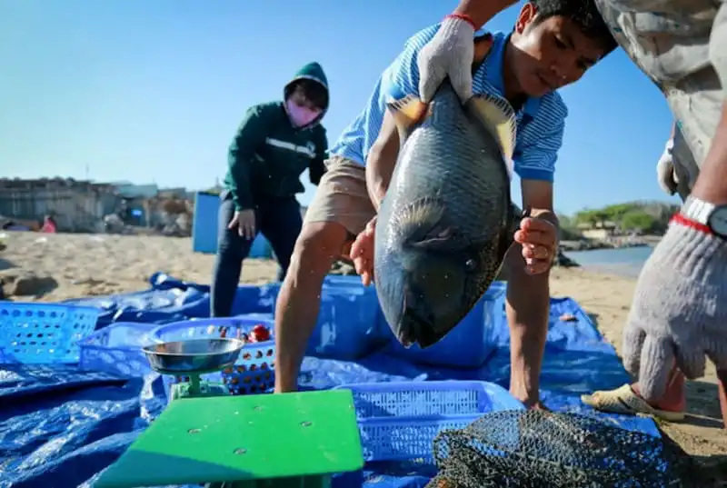 Kinh nghiệm du lịch đảo Phú Quý 9 wanderlust-tips-kinh-nghiem-du-lich-dao-phu-quy-8