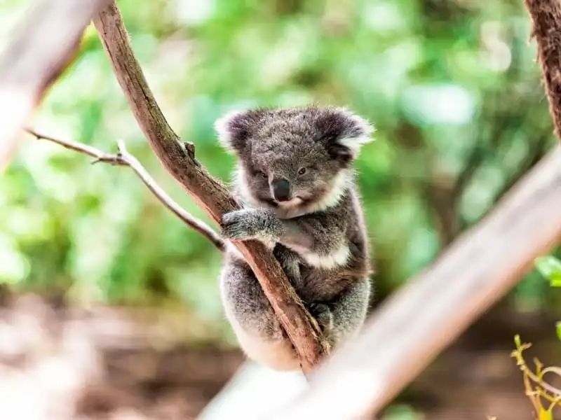 wanderlust-tips-ky-quan-thien-nhien-duy-nhat-thay-duoc-tu-vu-tru-dep-nhu-the-nao-12