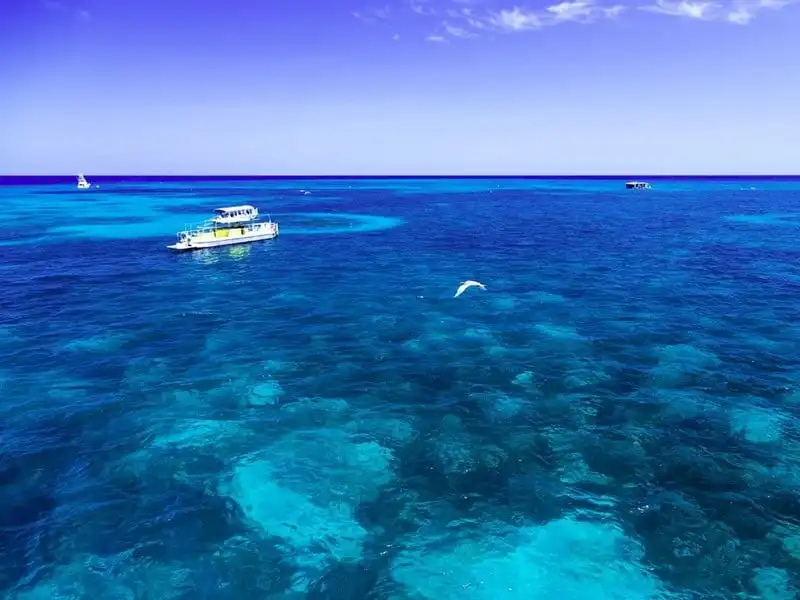 wanderlust-tips-ky-quan-thien-nhien-duy-nhat-thay-duoc-tu-vu-tru-dep-nhu-the-nao-5