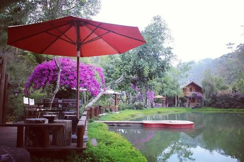 Ma rừng lữ quán – Chốn thần tiên ít người biết đến ngay gần Đà Lạt 7 wanderlust-tips-ma-rung-lu-quan-chon-than-tien-it-nguoi-biet-toi-ngay-gan-da-lat-1
