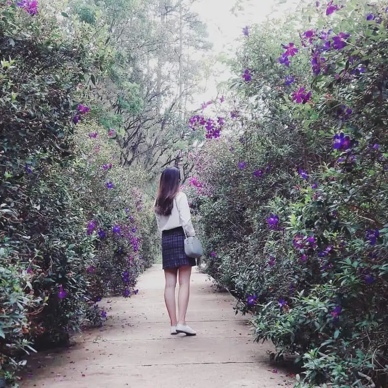 Ma rừng lữ quán – Chốn thần tiên ít người biết đến ngay gần Đà Lạt 9 wanderlust-tips-ma-rung-lu-quan-chon-than-tien-it-nguoi-biet-toi-ngay-gan-da-lat-11