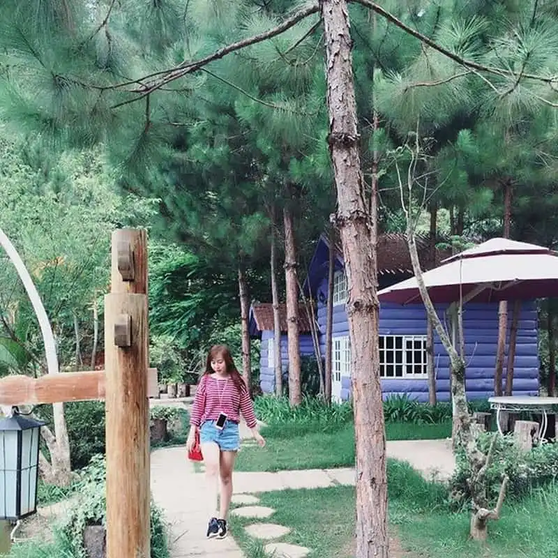 wanderlust-tips-ma-rung-lu-quan-chon-than-tien-it-nguoi-biet-toi-ngay-gan-da-lat-12