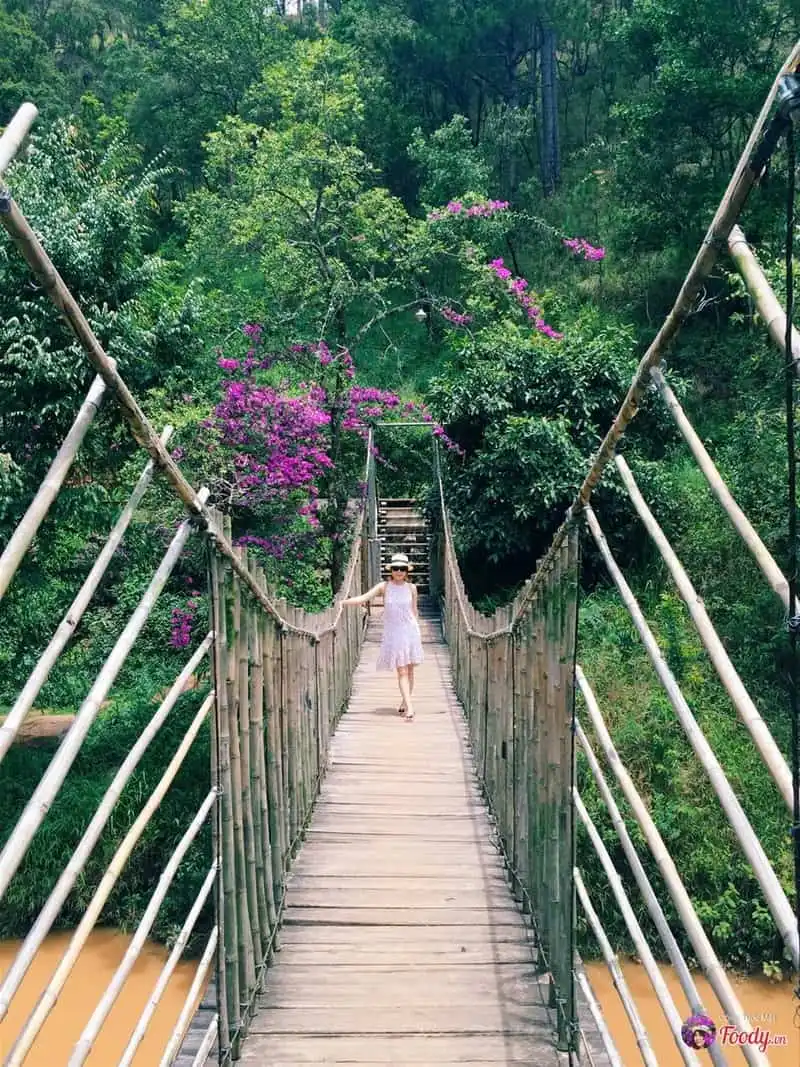 Ma rừng lữ quán – Chốn thần tiên ít người biết đến ngay gần Đà Lạt 12 wanderlust-tips-ma-rung-lu-quan-chon-than-tien-it-nguoi-biet-toi-ngay-gan-da-lat-7