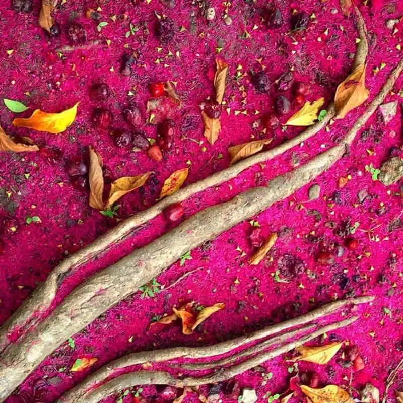 wanderlust-tips-ngo-ngang-nhung-buc-anh-chup-bang-dien-thoai-dep-me-man-6