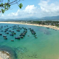 wanderlust tips ngoai ghenh da dia phu yen con co vinh xuan dai 5