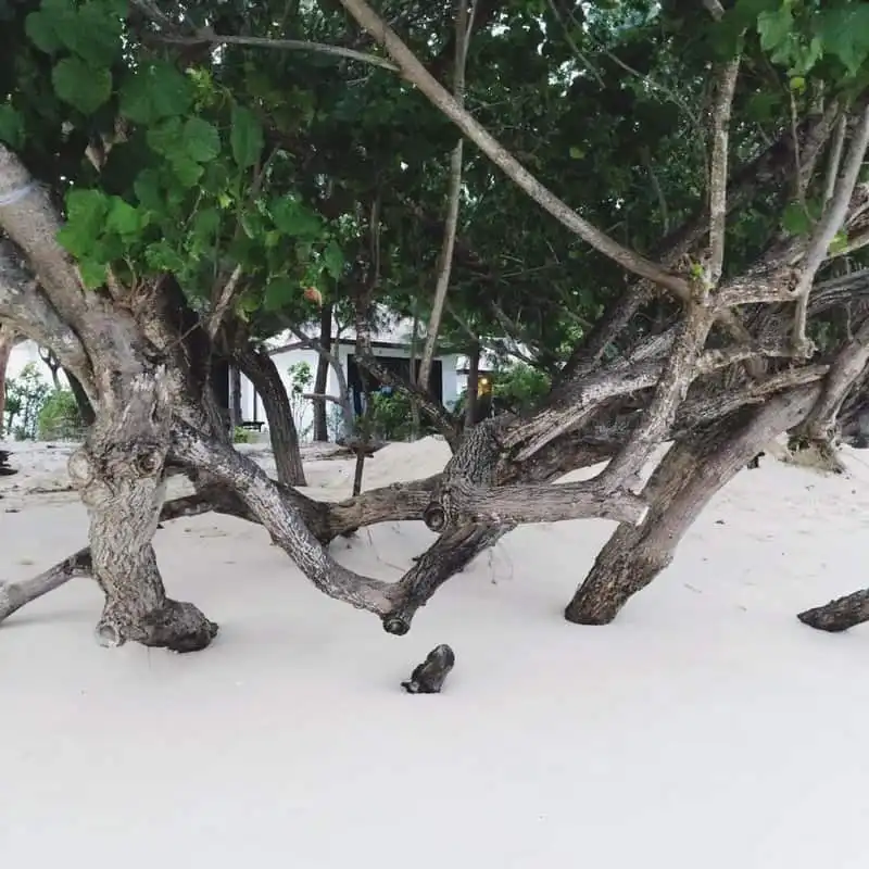 wanderlust-tips-nguoi-mau-thien-trang-tu-van-10-bi-kip-du-lich-phuket-va-koh-phi-phi-thai-lan-4