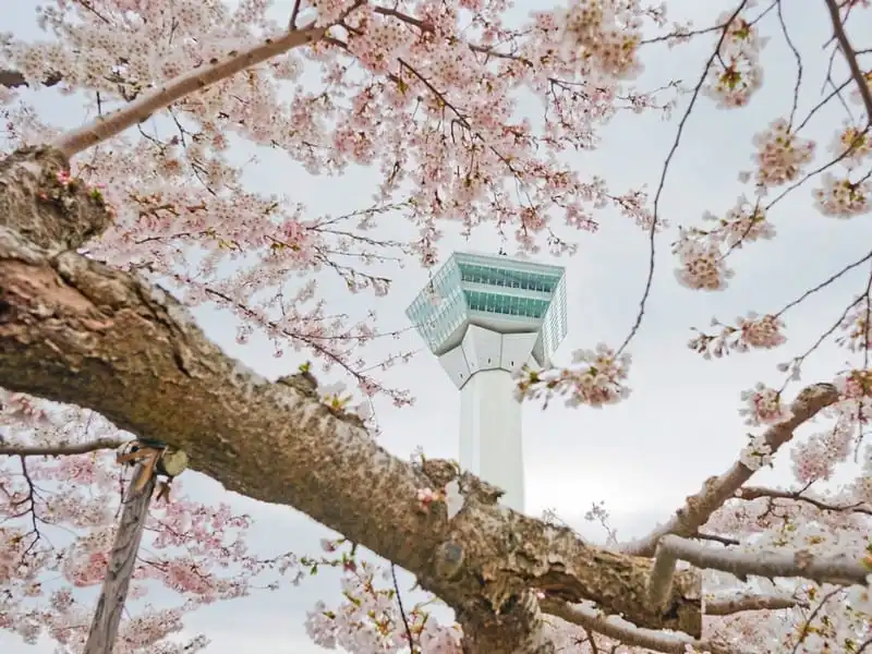 wanderlust-tips-nhung-ly-do-khien-hokkaido-tro-thanh-diem-den-tuyet-voi-nhat-chau-a-13