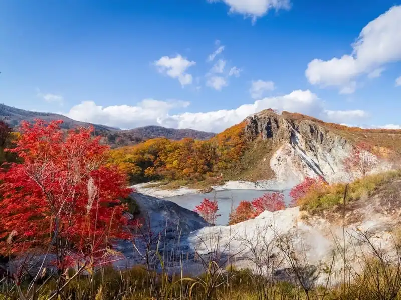 wanderlust-tips-nhung-ly-do-khien-hokkaido-tro-thanh-diem-den-tuyet-voi-nhat-chau-a-28