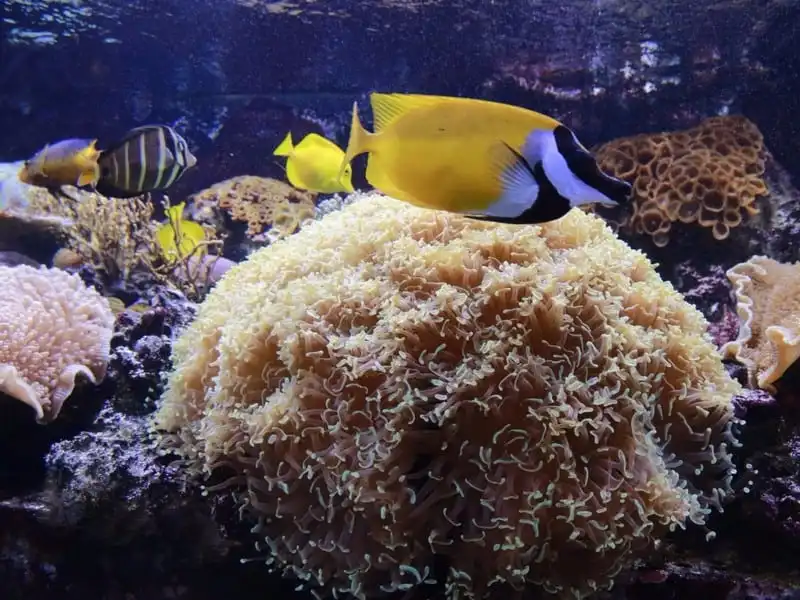 wanderlust-tips-nhung-ly-do-khien-madellin-la-diem-den-tuyet-voi-nhat-o-nam-my-19