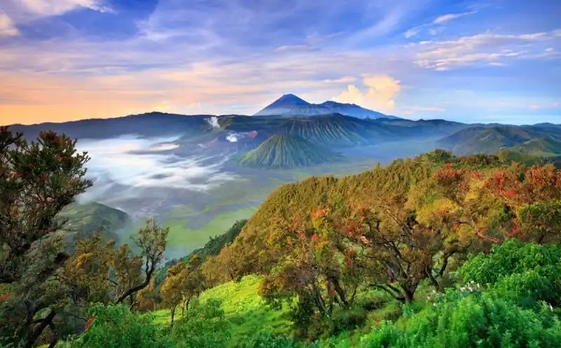 Phong Nha Kẻ Bàng thuộc top 7 vườn quốc gia tuyệt nhất Đông Nam Á 6 wanderlust-tips-phong-nha-ke-bang-thuoc-top-7-vuon-quoc-gia-tuyet-nhat-dong-nam-a-2