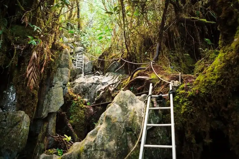 Phong Nha Kẻ Bàng thuộc top 7 vườn quốc gia tuyệt nhất Đông Nam Á 7 wanderlust-tips-phong-nha-ke-bang-thuoc-top-7-vuon-quoc-gia-tuyet-nhat-dong-nam-a-3