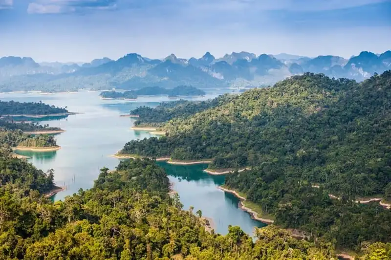 Phong Nha Kẻ Bàng thuộc top 7 vườn quốc gia tuyệt nhất Đông Nam Á 10 wanderlust-tips-phong-nha-ke-bang-thuoc-top-7-vuon-quoc-gia-tuyet-nhat-dong-nam-a-6