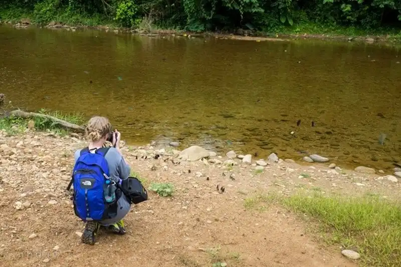 wanderlust-tips-them-nhieu-hinh-anh-thien-nhien-tuyet-my-o-son-doong-2