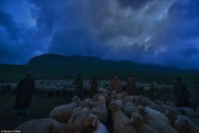 wanderlust-tips-theo-dau-chan-bo-toc-du-muc-bakarwa-11