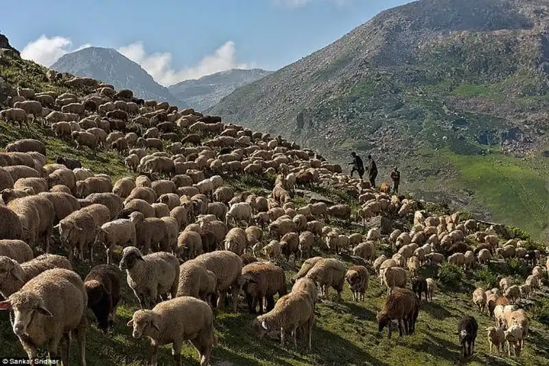 wanderlust-tips-theo-dau-chan-bo-toc-du-muc-bakarwa-2