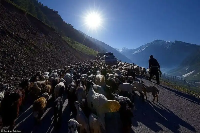 wanderlust-tips-theo-dau-chan-bo-toc-du-muc-bakarwa-3