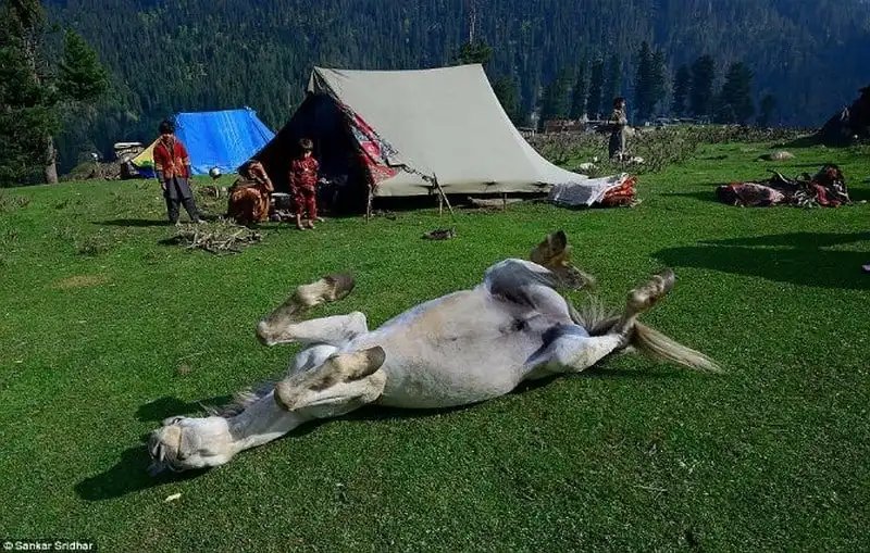 wanderlust-tips-theo-dau-chan-bo-toc-du-muc-bakarwa-5