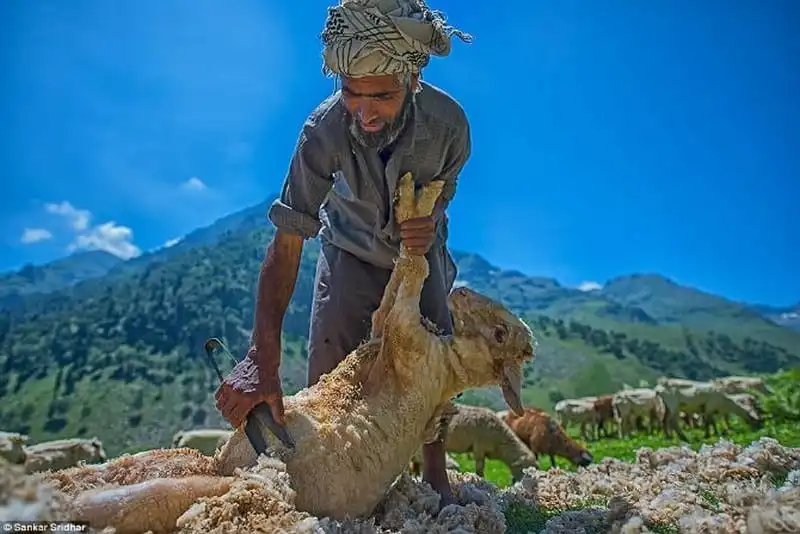 wanderlust-tips-theo-dau-chan-bo-toc-du-muc-bakarwa-9