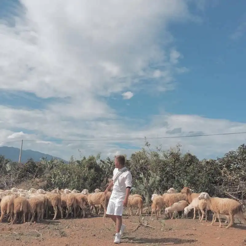 Trải nghiệm một mình khám phá Ninh Thuận 9 wanderlust-tips-trai-nghiem-mot-minh-kham-pha-ninh-thuan-7