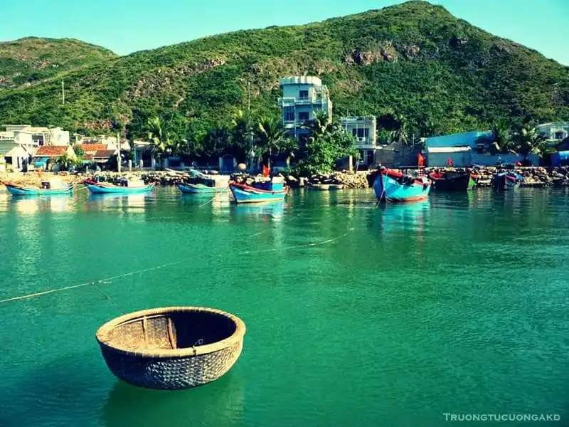 wanderlust-tips-ve-cu-lao-xanh-ve-voi-xanh-muot-va-binh-yen-1