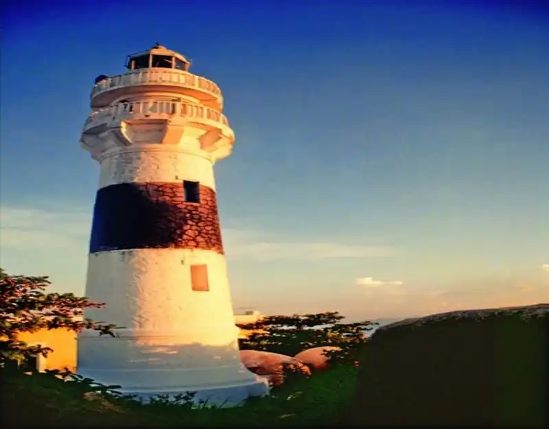 wanderlust-tips-ve-cu-lao-xanh-ve-voi-xanh-muot-va-binh-yen-2