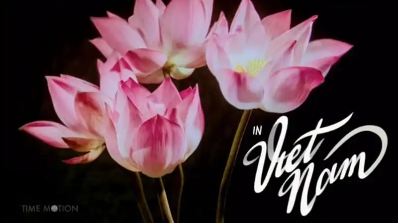 Vẻ đẹp diệu kỳ Việt Nam qua clip được ghi hình tới 2 năm 5 wanderlust-tips-ve-dep-dieu-ky-viet-nam-qua-clip-duoc-ghi-hinh-toi-2-nam-1