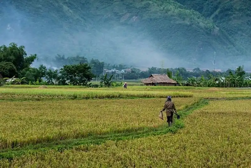 wanderlust-tips-viet-nam-lot-top-diem-den-du-lich-bui-hap-dan-nhat-the-gioi-1