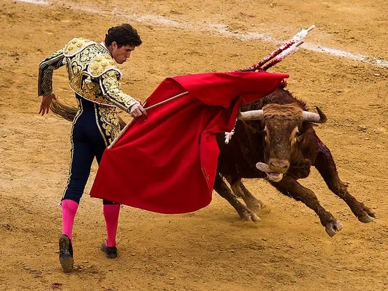 wanderlust-tips-vong-quanh-the-gioi-kham-pha-12-le-hoi-thang-7-day-mau-sac-8