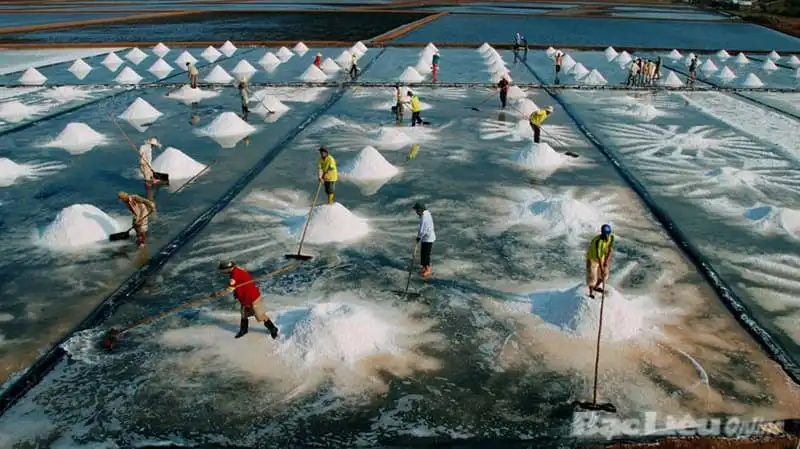 wanderlust_Du-lich-ve-que-huong-cong-tu-bac-lieu 3