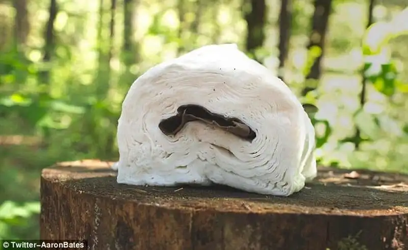 wanderlust_Dung-de-do-khoc-do-cuoi-khi-di-cam-trai 3