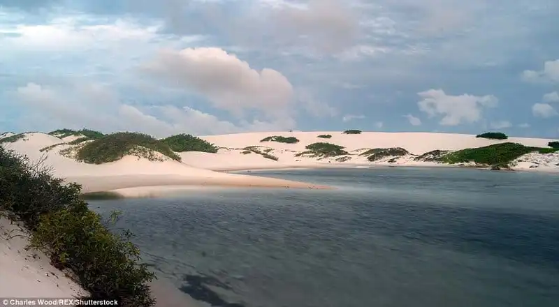 wanderlust_Ngoan-muc-canh-bien-tren-cat-o-Brazil 10