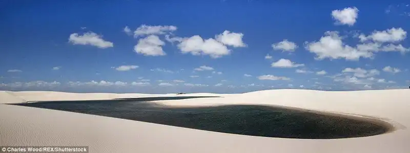 wanderlust_Ngoan-muc-canh-bien-tren-cat-o-Brazil 3