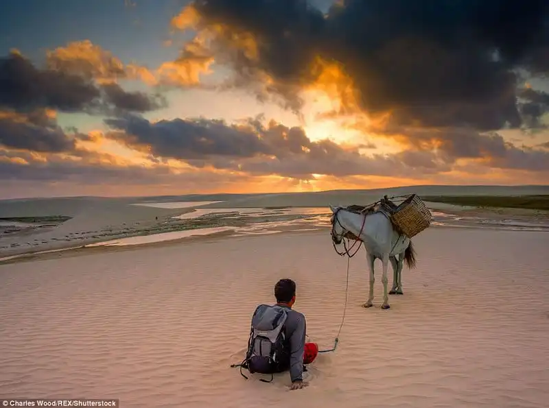 wanderlust_Ngoan-muc-canh-bien-tren-cat-o-Brazil 4