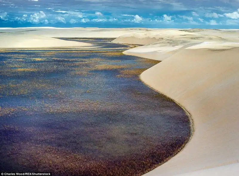 wanderlust_Ngoan-muc-canh-bien-tren-cat-o-Brazil 5