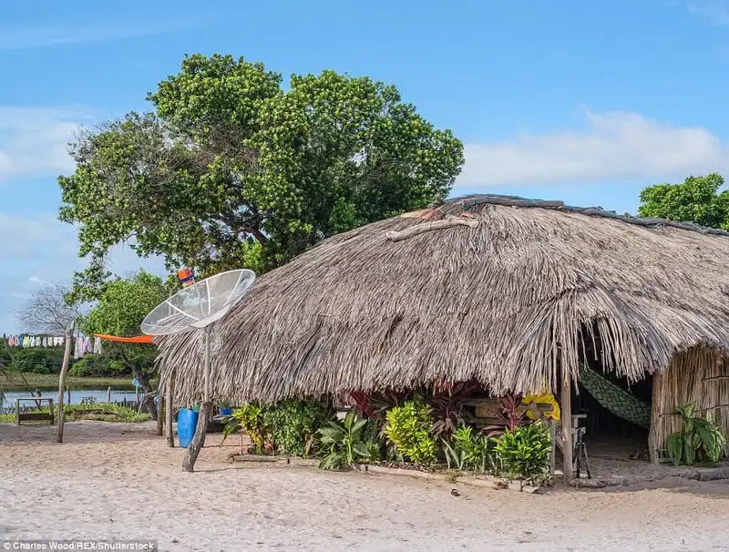 wanderlust_Ngoan-muc-canh-bien-tren-cat-o-Brazil 6