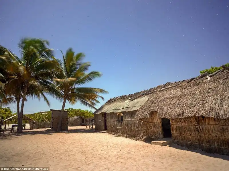 wanderlust_Ngoan-muc-canh-bien-tren-cat-o-Brazil 8