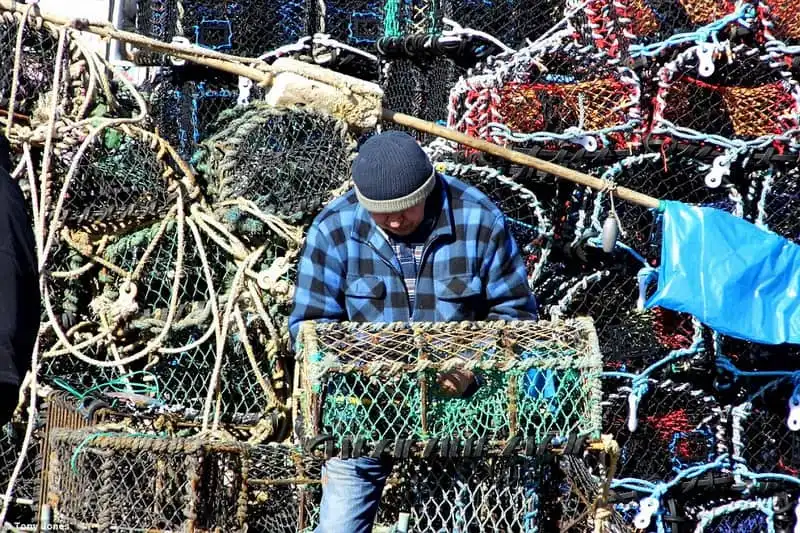 wanderlust_Ve-dep-thien-duong-nhung-bo-bien-nuoc-Anh 9