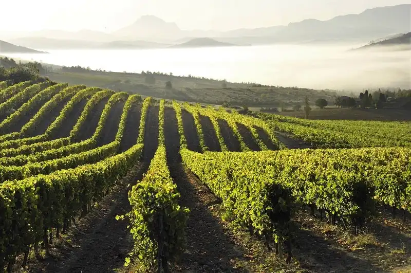 wanderlust_tips_10_diem_du_lich_ruou_6