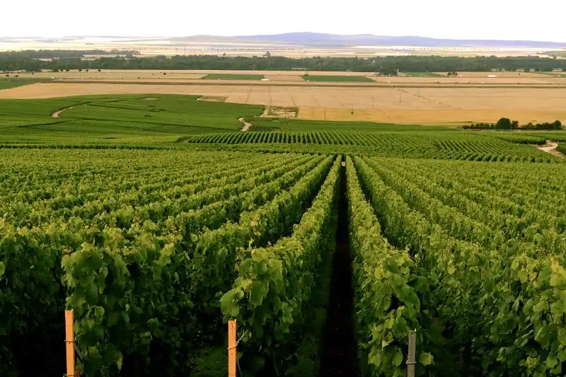 wanderlust_tips_10_diem_du_lich_ruou_8