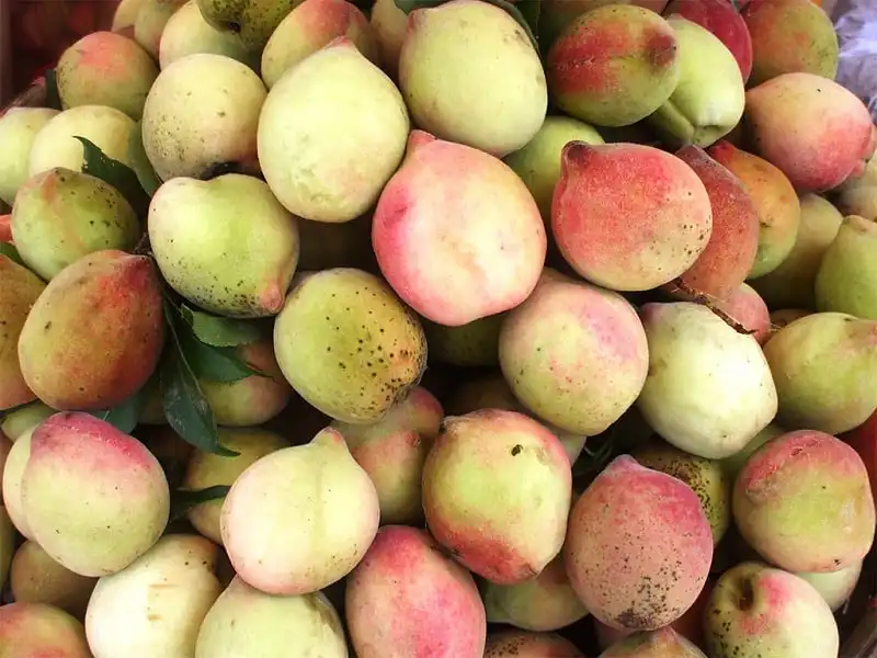 12 món ăn hấp dẫn của ẩm thực xứ Lạng 7 wanderlust_tips_12_mon_ngon_lang_son_3