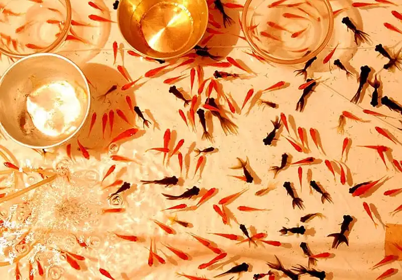 wanderlust_tips_16_ly_do_den_Nhat_1-2