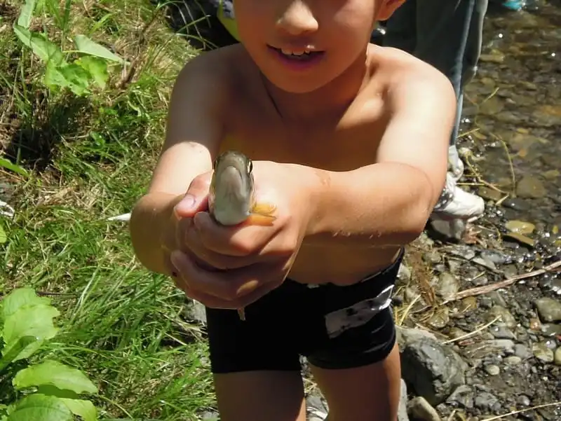 wanderlust_tips_16_ly_do_den_Nhat_12