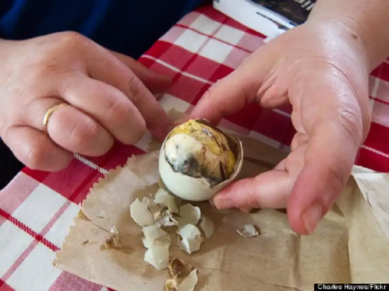 Balut