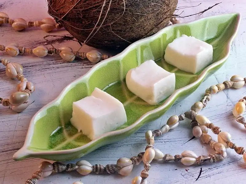 wanderlust_tips_20_mon_ngon_Hawaii_14