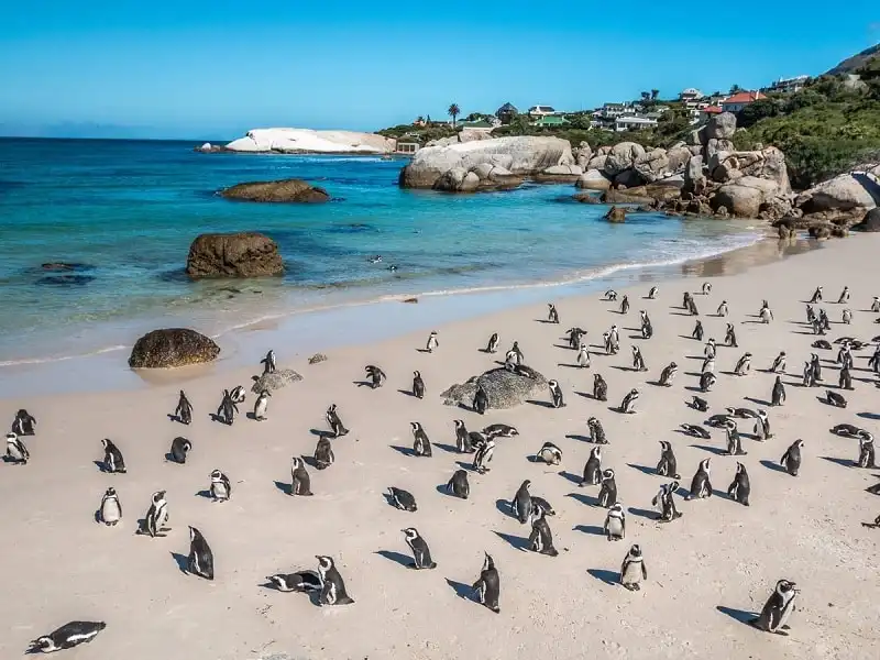 30 bãi biển tuyệt đẹp nên đến trong đời (Phần 1) 10 wanderlust_tips_30_bai_bien_tuyet_dep_6